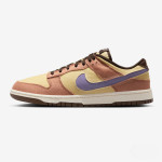 Nike Dunk Low Retro SE 'Dusted Clay'