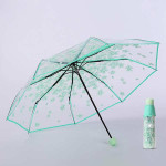 Sea Green Transparent Umbrella