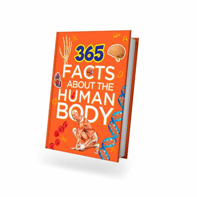 365 FACTS ABOUT HUMAN BODY