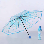 Blue Transparent Umbrella