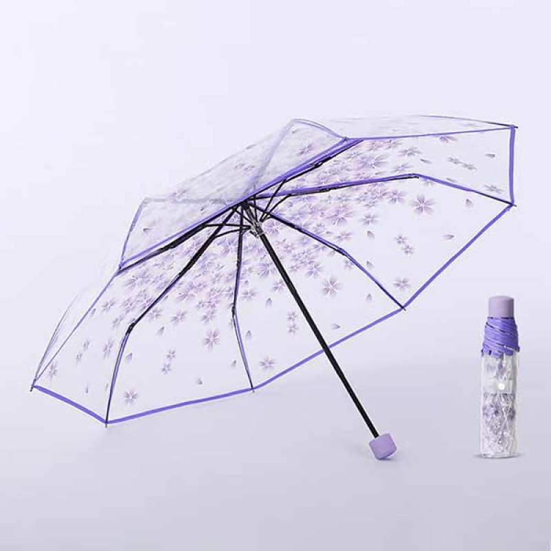 Violet Transparent Umbrella