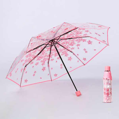 Pink Transparent Umbrella