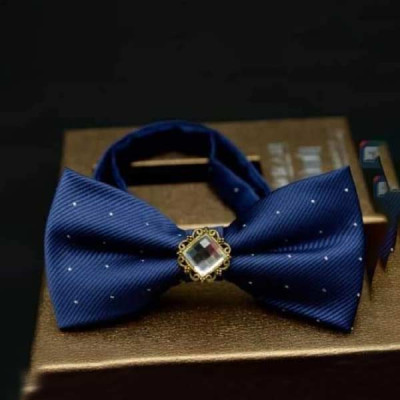 Bow Tie For Men(EL-TY P 04)