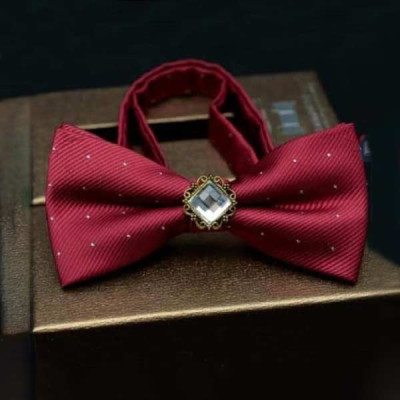 Bow Tie For Men(EL-TY P 05)