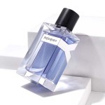 Yves Saint Laurent Y Men EDT-100ML