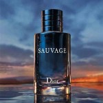 Christian Dior Sauvage Spray For Men EDP 100ML