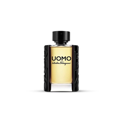 Salvatore Ferragamo Uomo Pour Homme EDT 100ML Spray