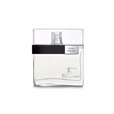 Salvatore Ferragamo Pour Homme EDT 100ML