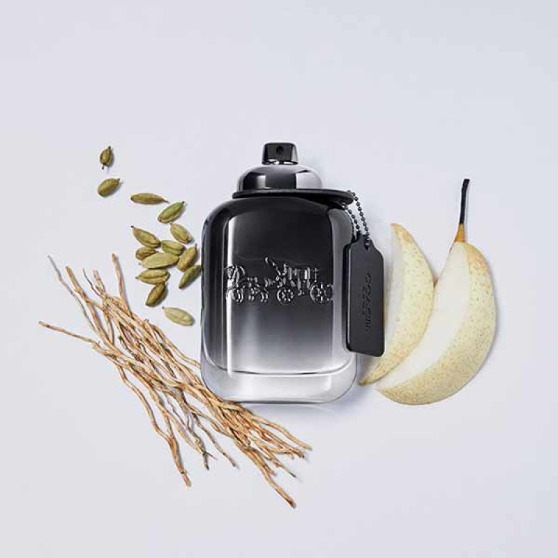 Coach Men EDT 100 Spray