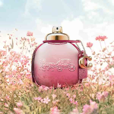 Coach Wild Rose For Women EDP 90 ML